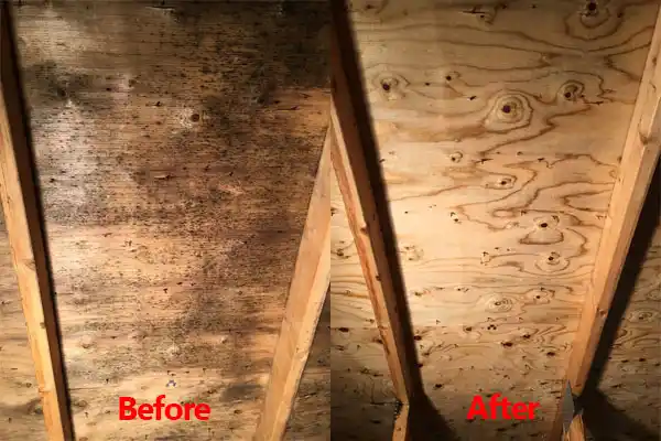 water damage restoration service Socorro